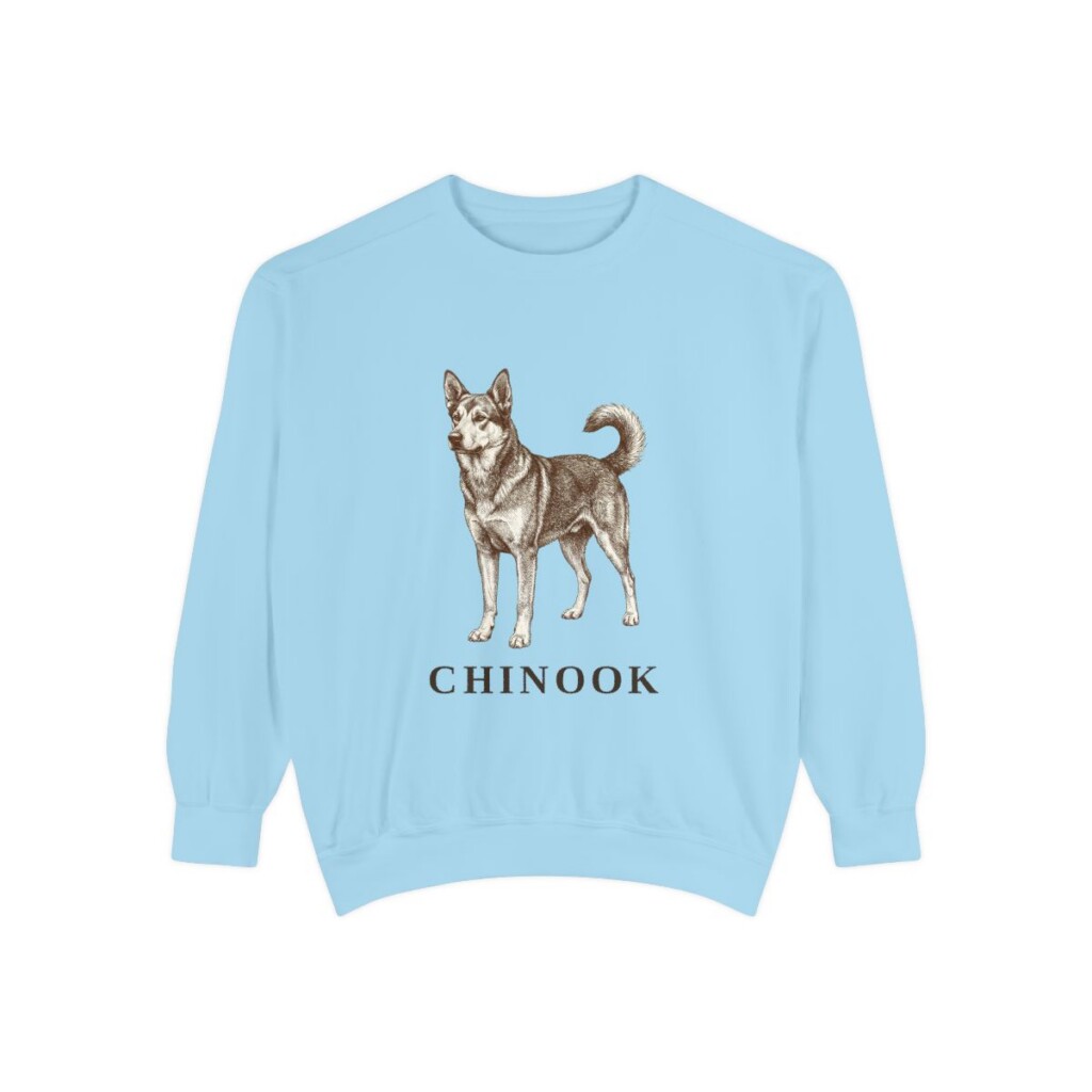 Chinook Sweatshirt, Chambray, front view
