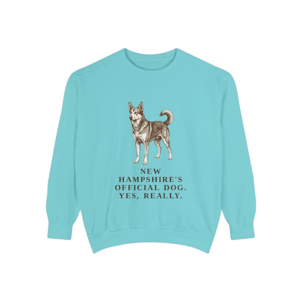 Chinook Humor Sweatshirt, Chalky Mint, front view
