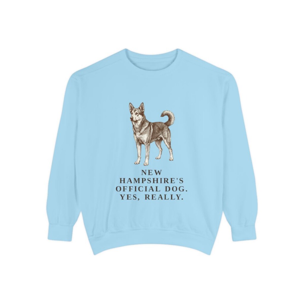 Chinook Humor Sweatshirt, Chambray, front view