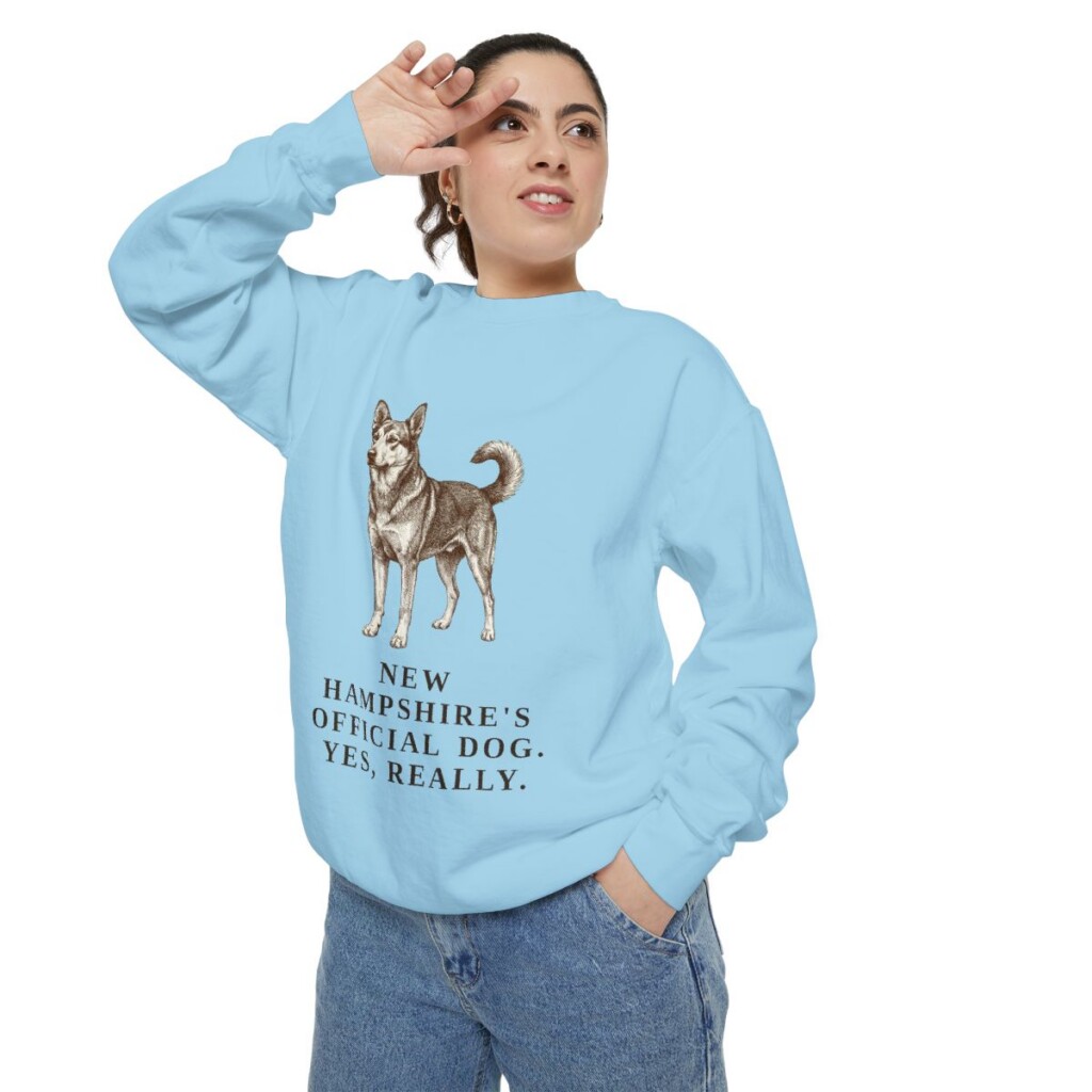 Chinook Humor Sweatshirt, Chambray, person 2 context