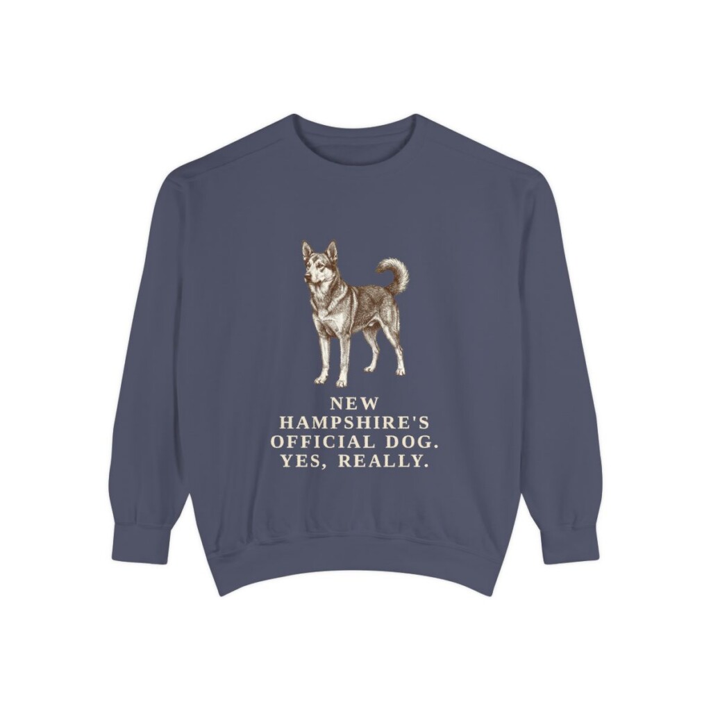 Chinook Humor Sweatshirt, Denim, front view