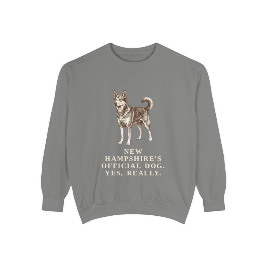 Chinook Humor Sweatshirt, Grey, front view