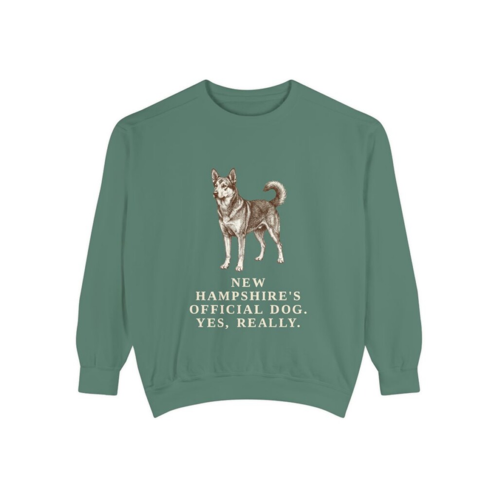 Chinook Humor Sweatshirt, Light Green, front view