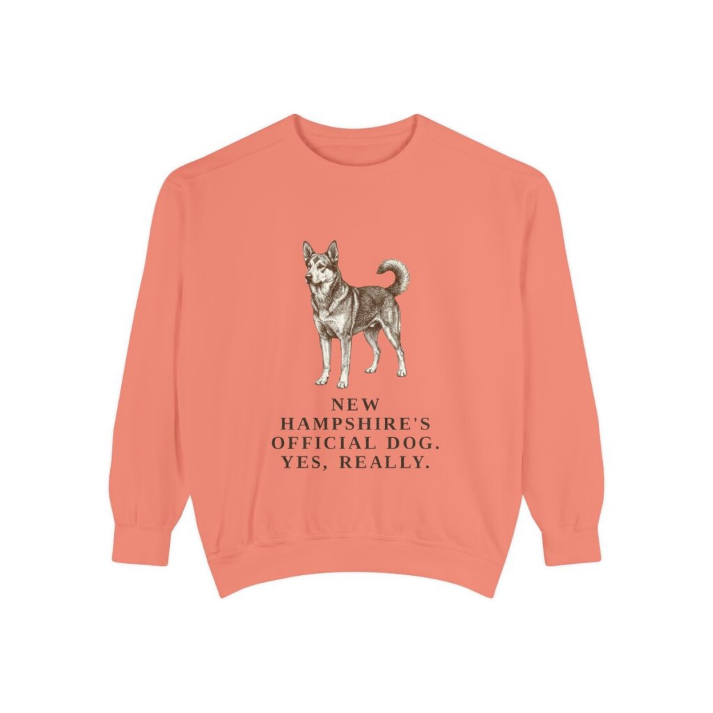 Chinook Humor Sweatshirt, Terracotta, front view