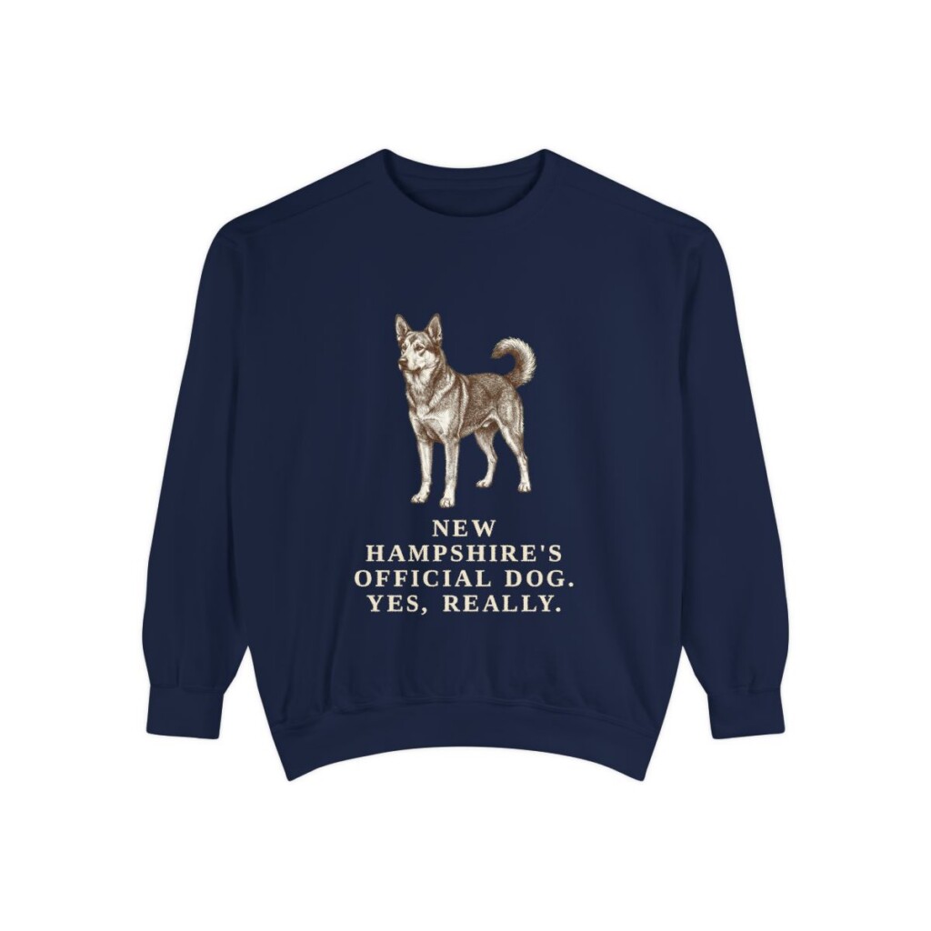 Chinook Humor Sweatshirt, True Navy, front view