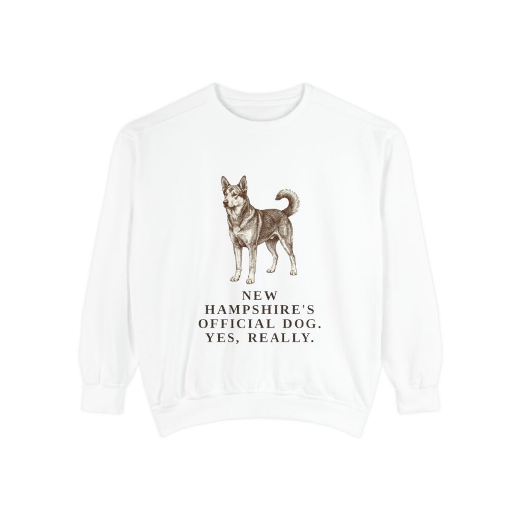 Chinook Humor Sweatshirt, White, front view
