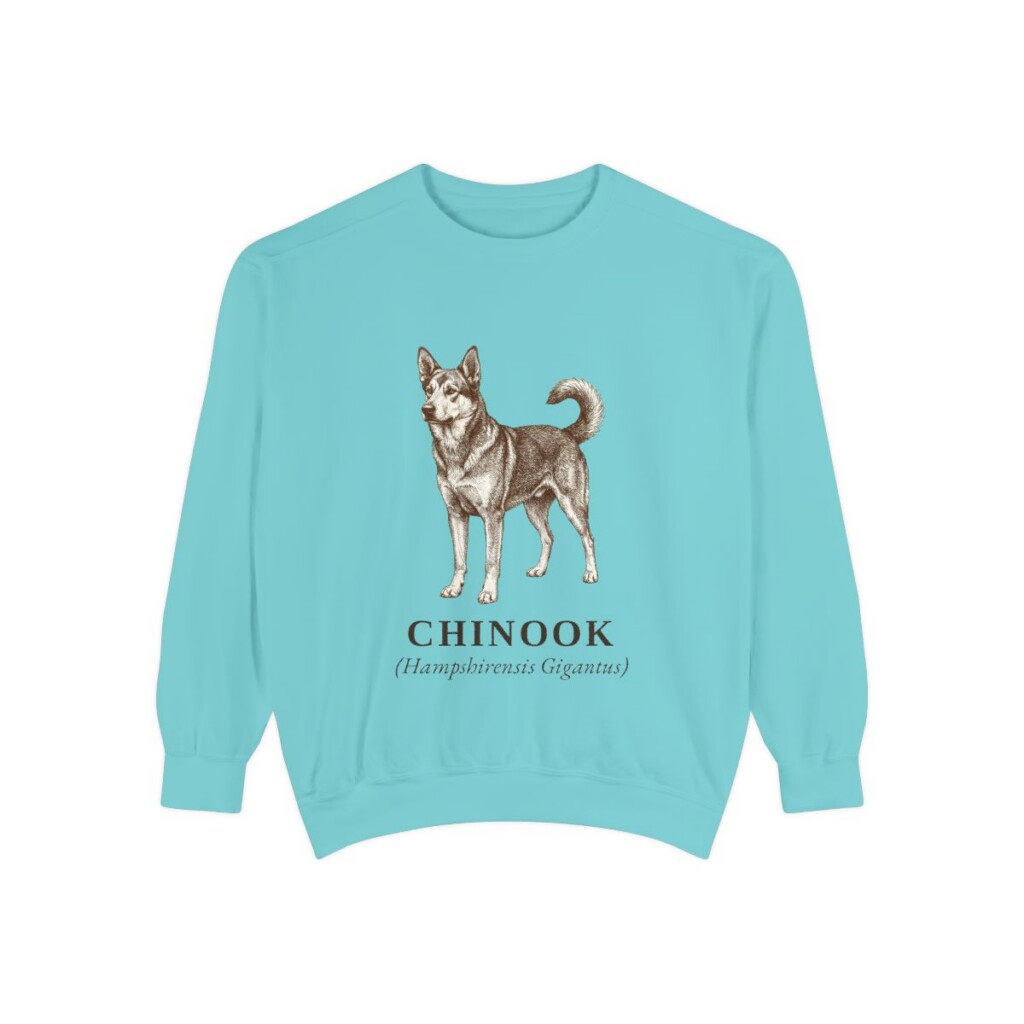Chinook Latin Sweatshirt, Chalky Mint, front view