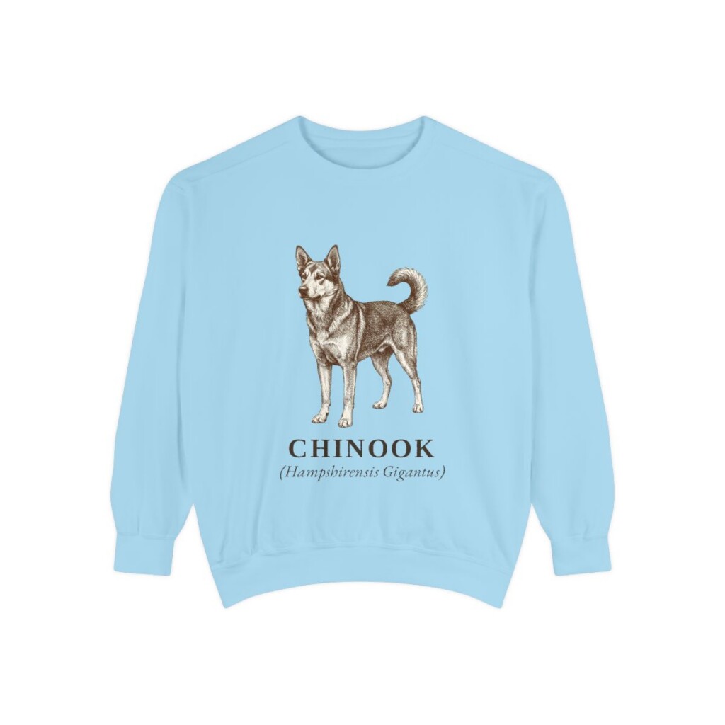 Chinook Latin Sweatshirt, Chambray, front view