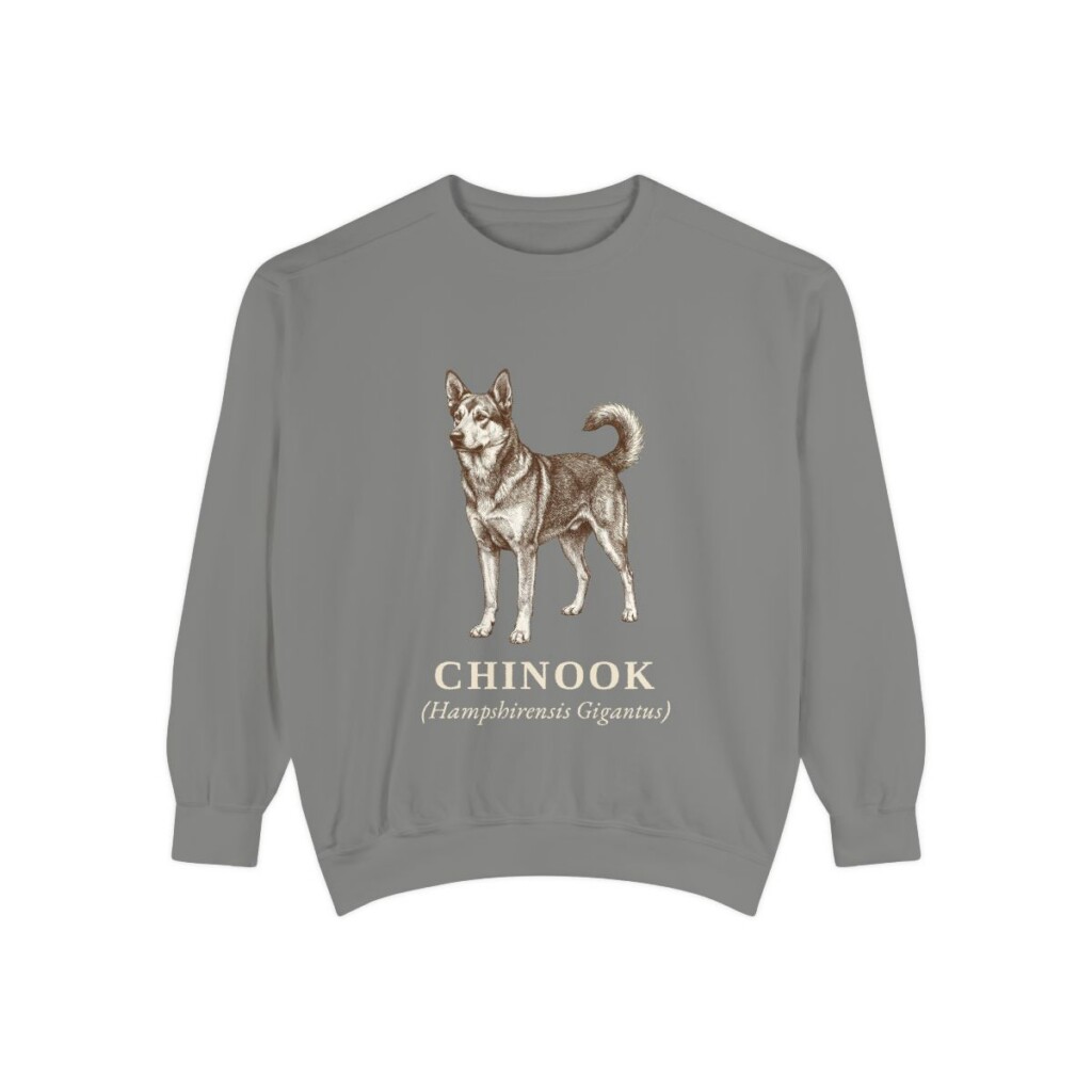 Chinook Latin Sweatshirt, Grey, front view