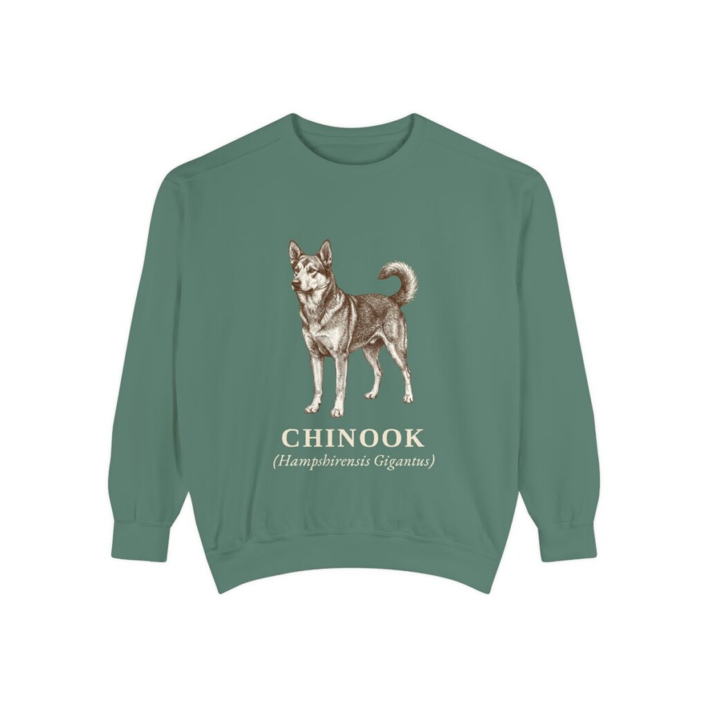 Chinook Latin Sweatshirt, Light Green, front view