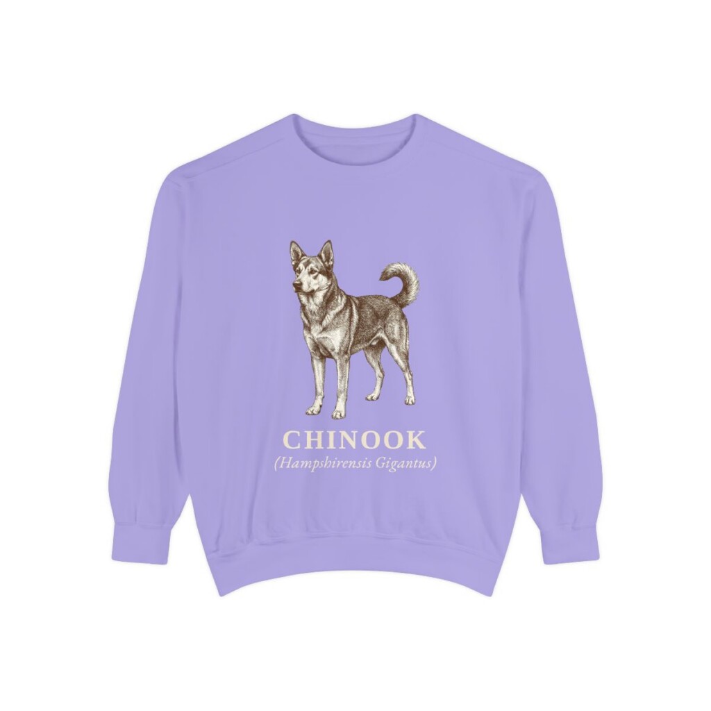 Chinook Latin Sweatshirt, Violet, front view