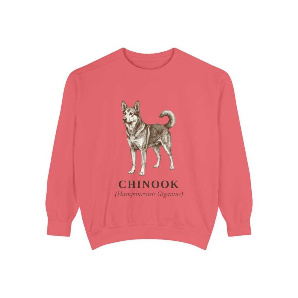Chinook Latin Sweatshirt, Watermelon, front view