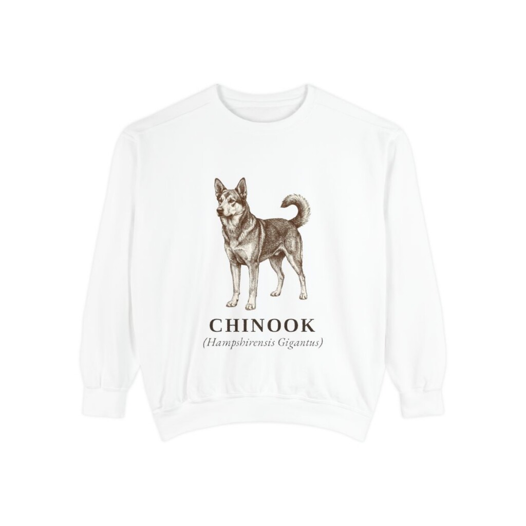 Chinook Latin Sweatshirt, White, front view