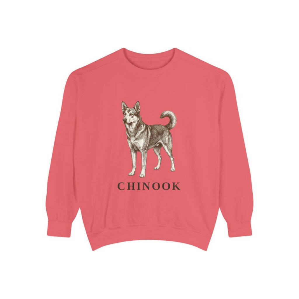 Chinook Sweatshirt, Watermelon, front view