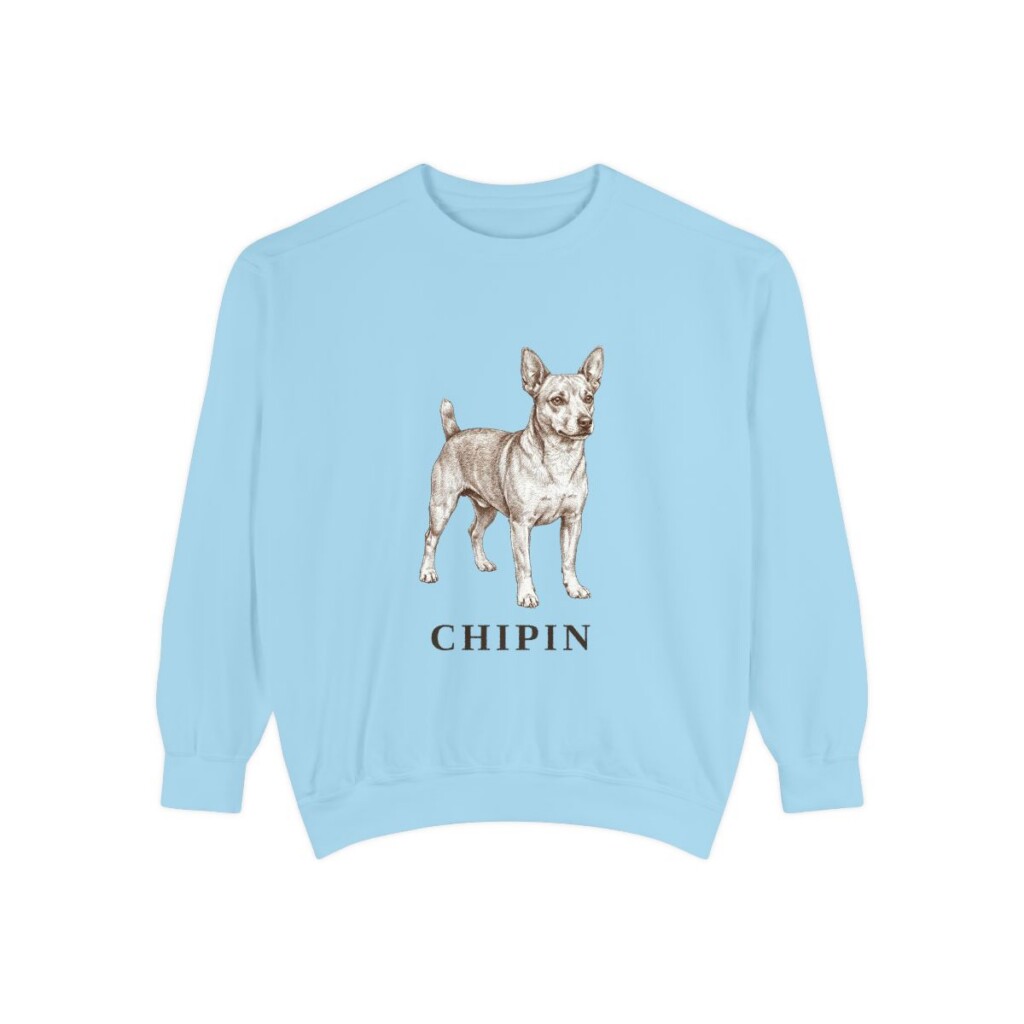 Chipin Sweatshirt, Chambray, front view