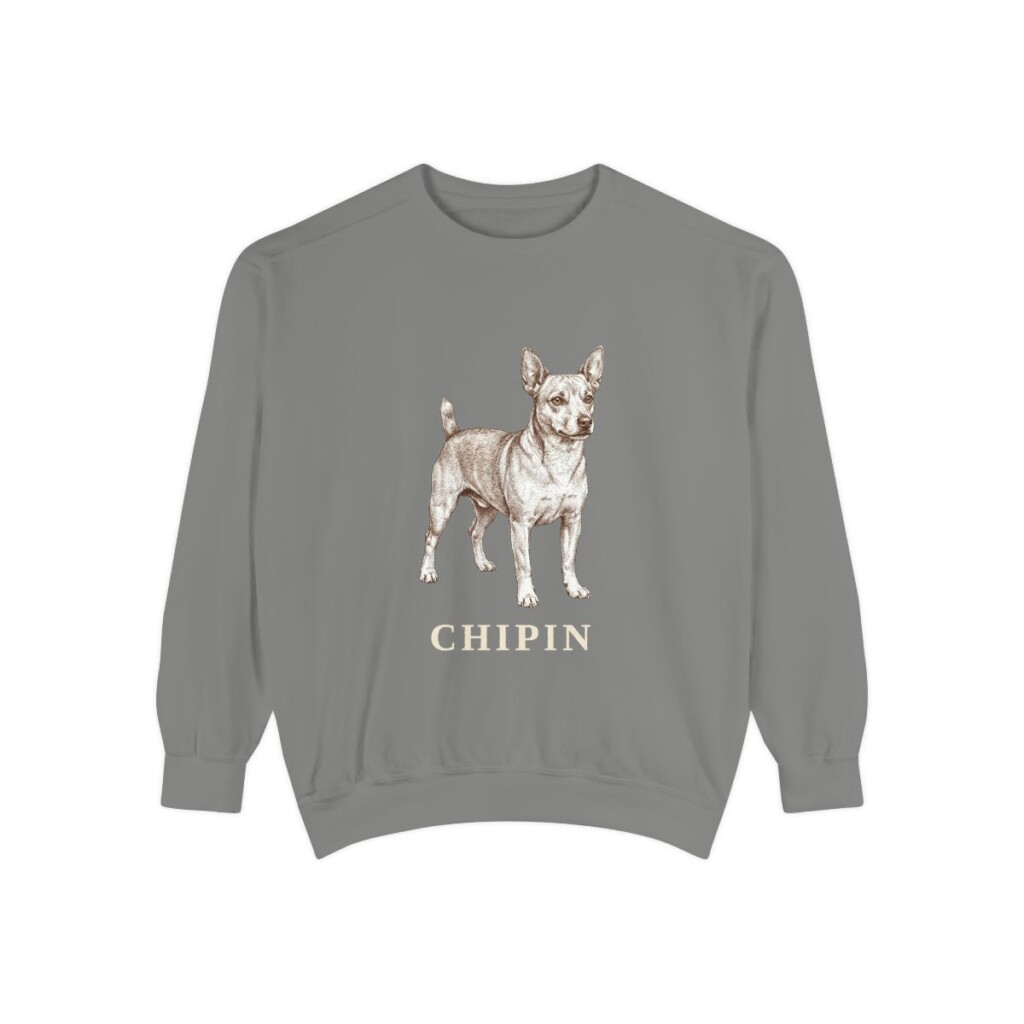 Chipin Sweatshirt, Grey, front view