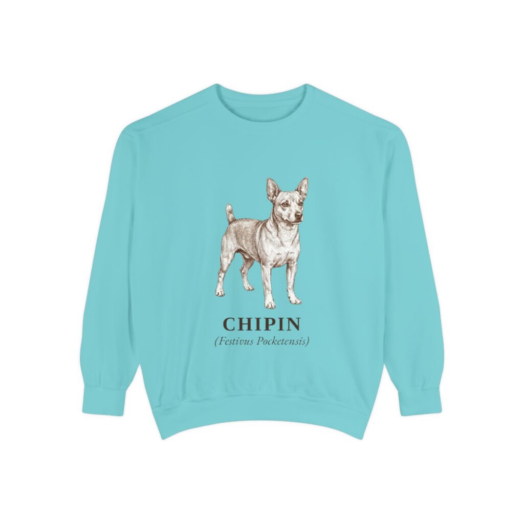 Chipin Latin Sweatshirt, Chalky Mint, front view