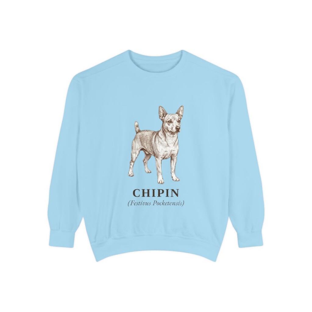 Chipin Latin Sweatshirt, Chambray, front view
