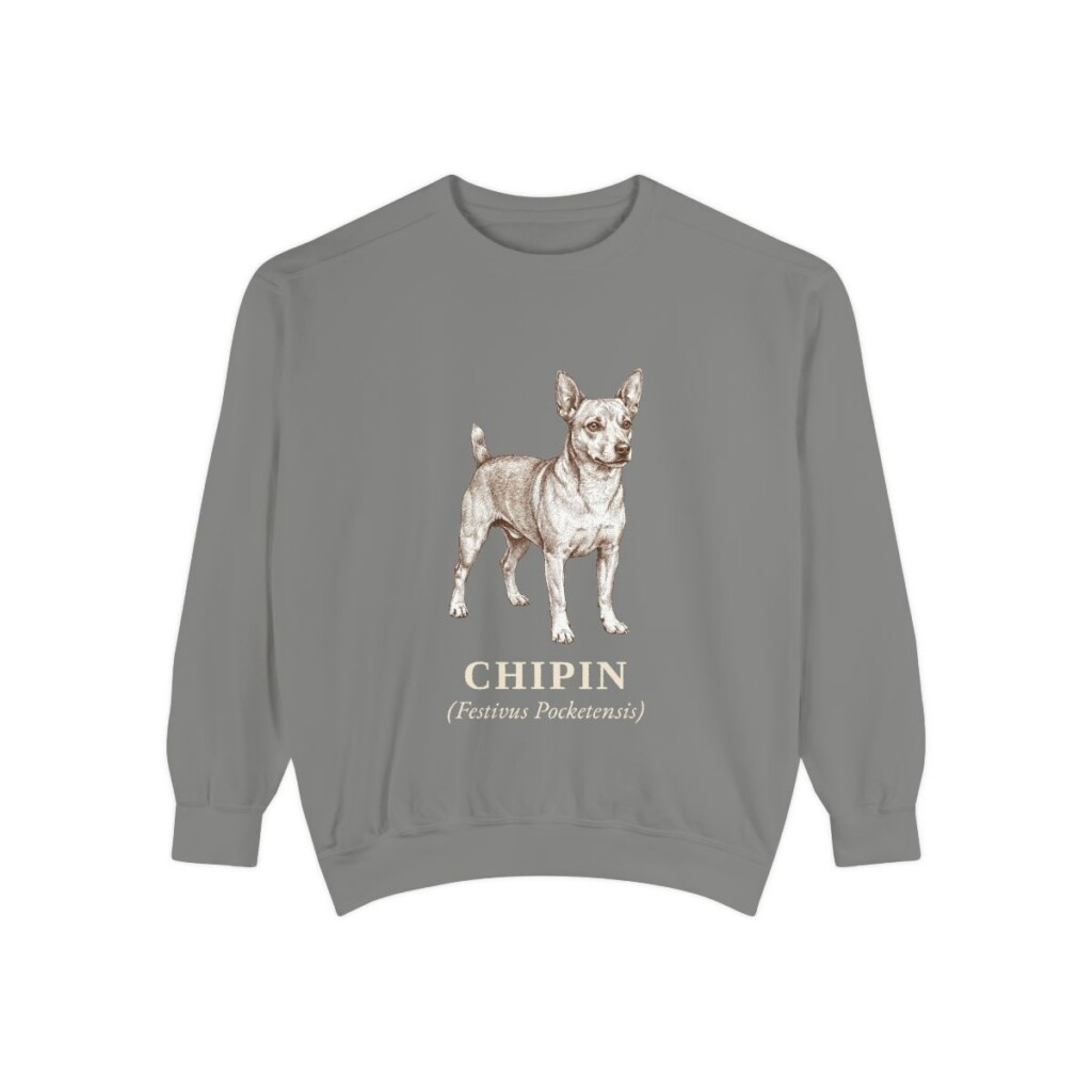 Chipin Latin Sweatshirt, Grey, front view