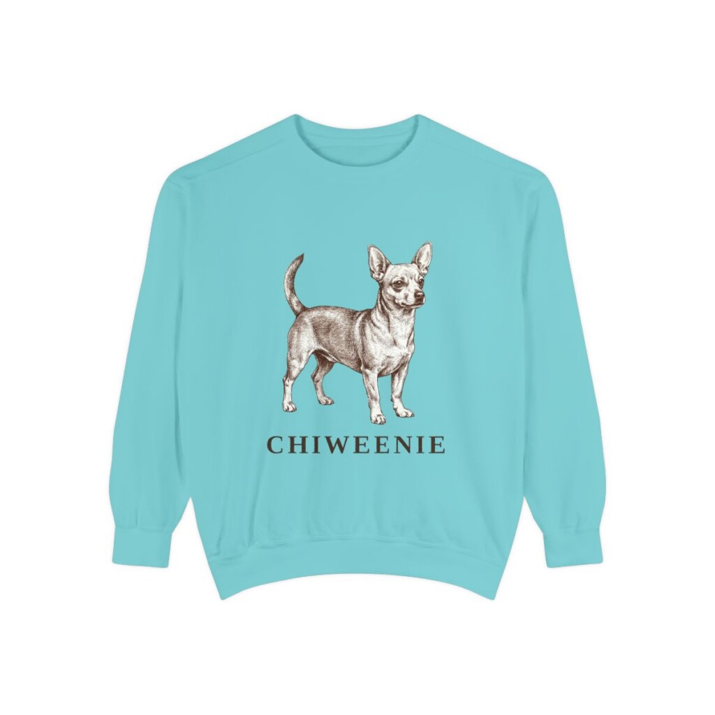 Chiweenie Sweatshirt, Chalky Mint, front view