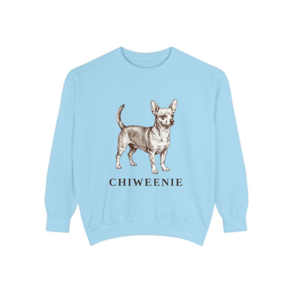 Chiweenie Sweatshirt, Chambray, front view