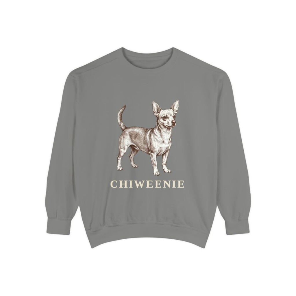 Chiweenie Sweatshirt, Grey, front view