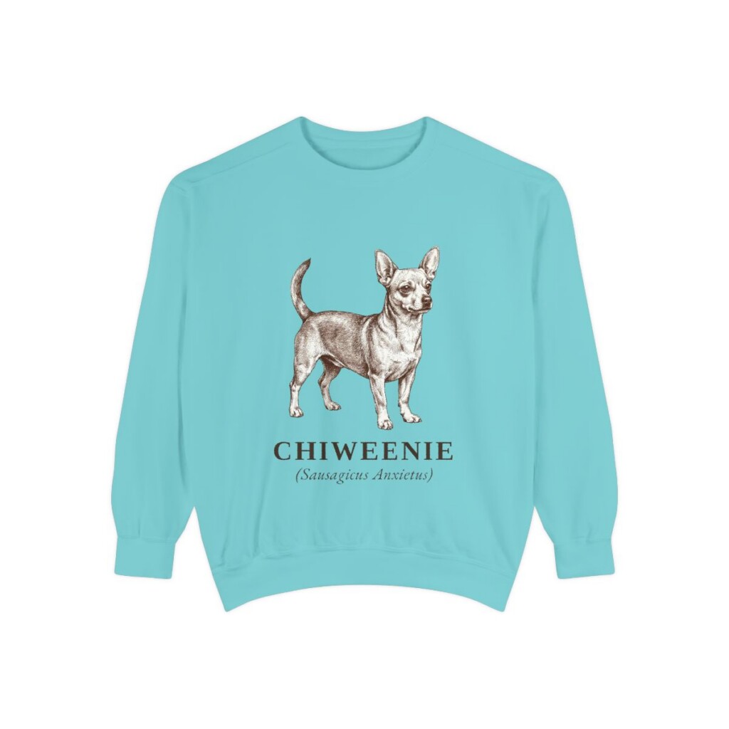Chiweenie Latin Sweatshirt, Chalky Mint, front view