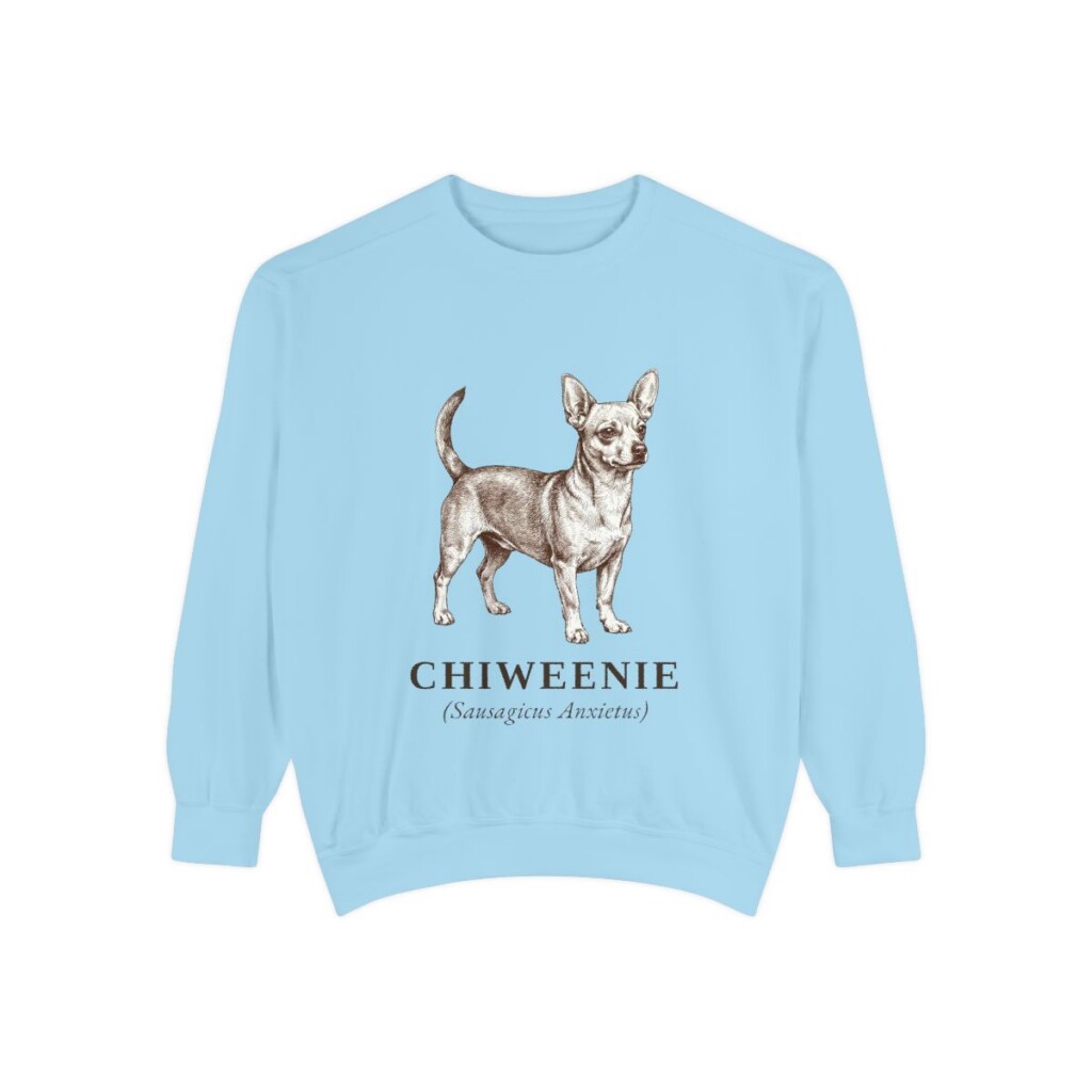 Chiweenie Latin Sweatshirt, Chambray, front view