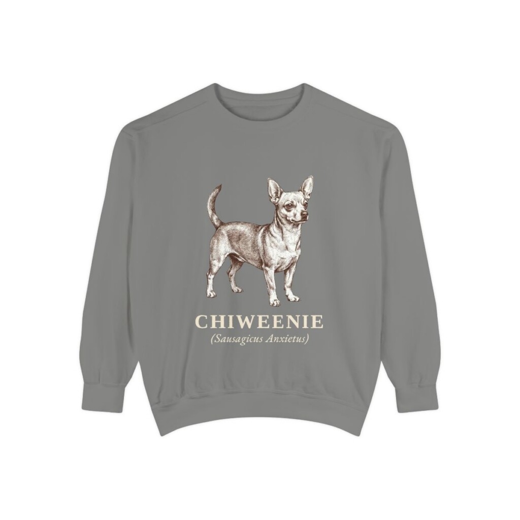 Chiweenie Latin Sweatshirt, Grey, front view