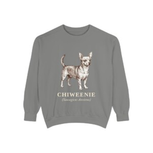 Chiweenie Latin Sweatshirt, Grey, front view