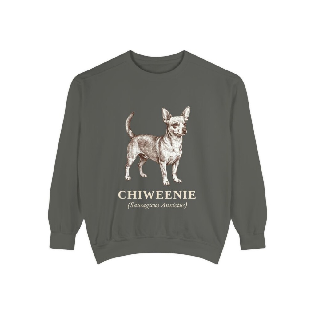 Chiweenie Latin Sweatshirt, Pepper, front view
