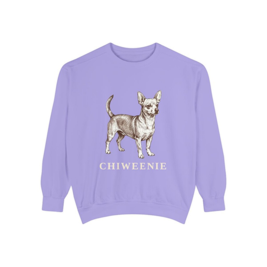 Chiweenie Sweatshirt, Violet, front view