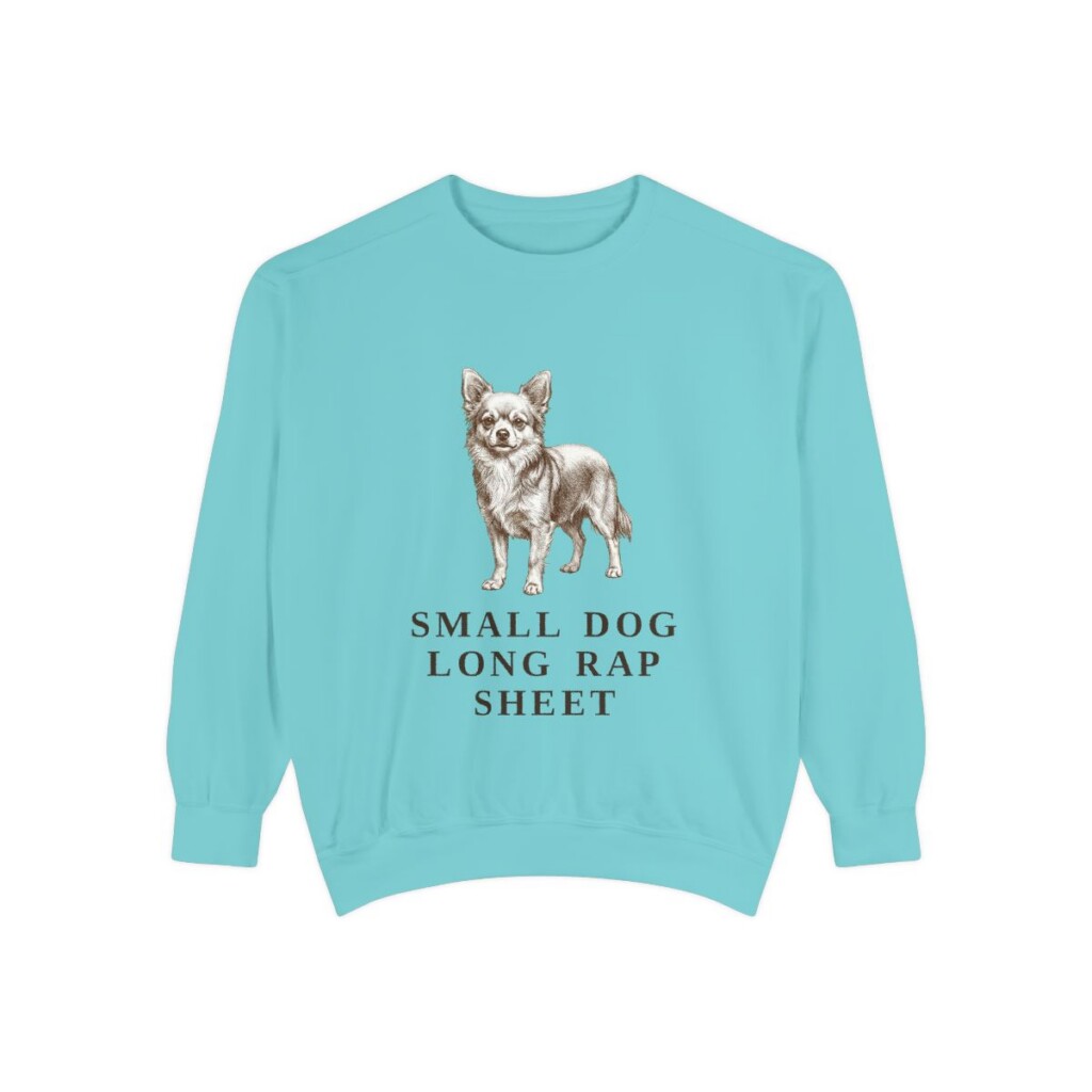 Chorkie Humor Sweatshirt, Chalky Mint, front view