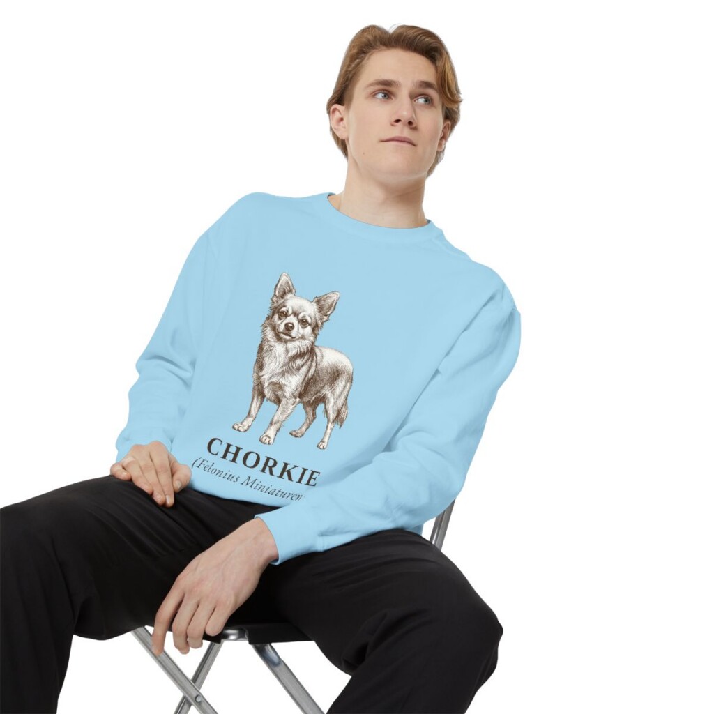 Chorkie Latin Sweatshirt, Chambray, person 1 context