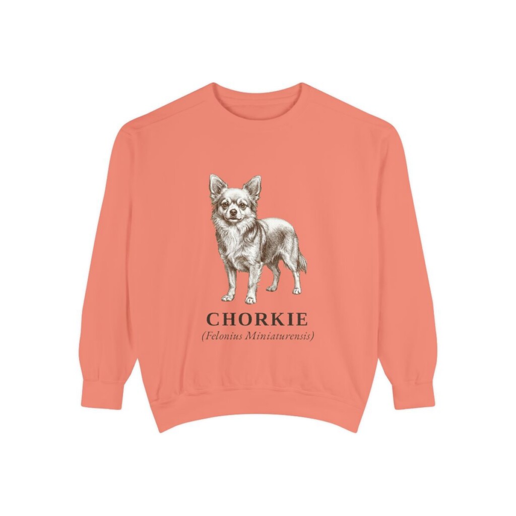 Chorkie Latin Sweatshirt, Terracotta, front view
