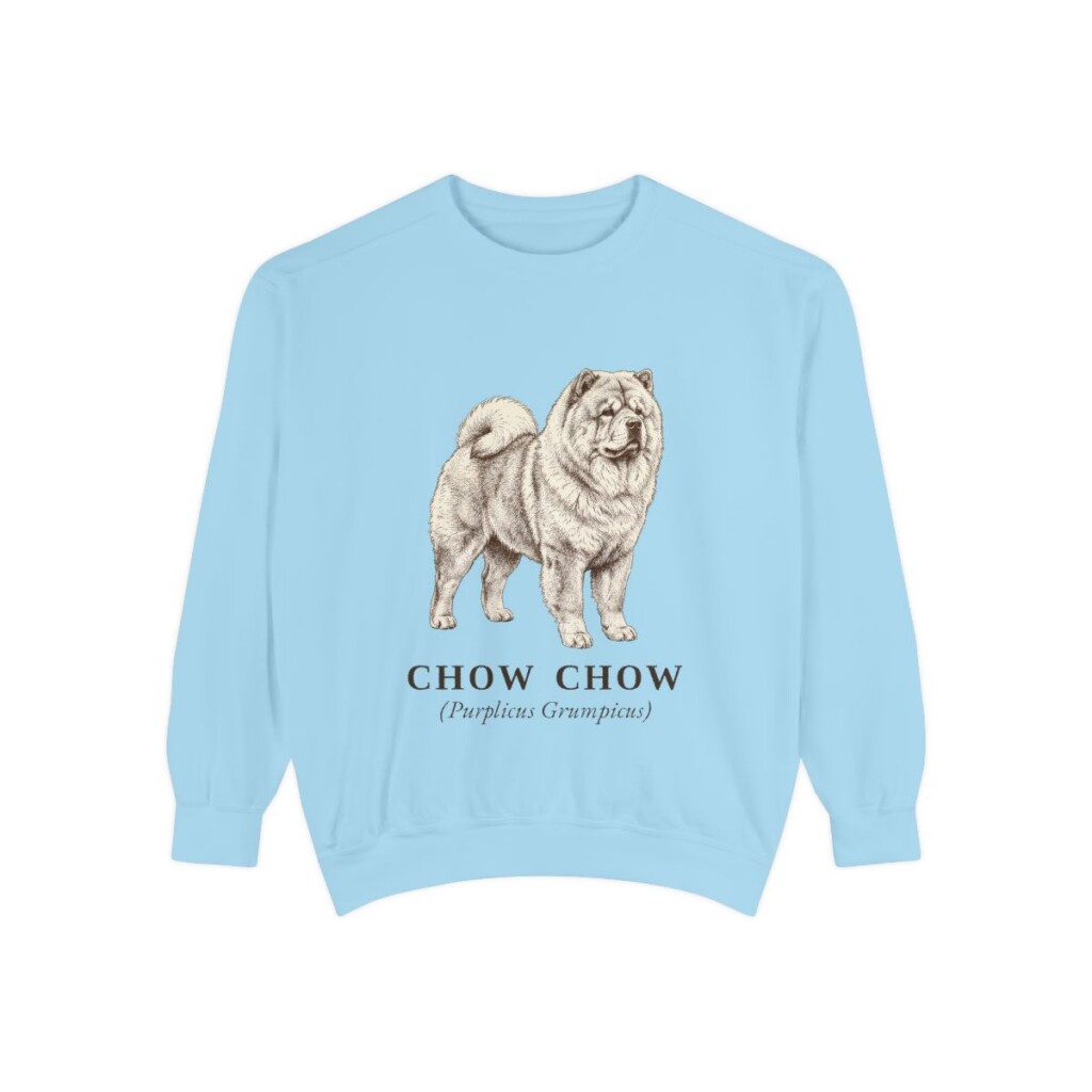 Chow Chow Latin Sweatshirt, Chambray, front view