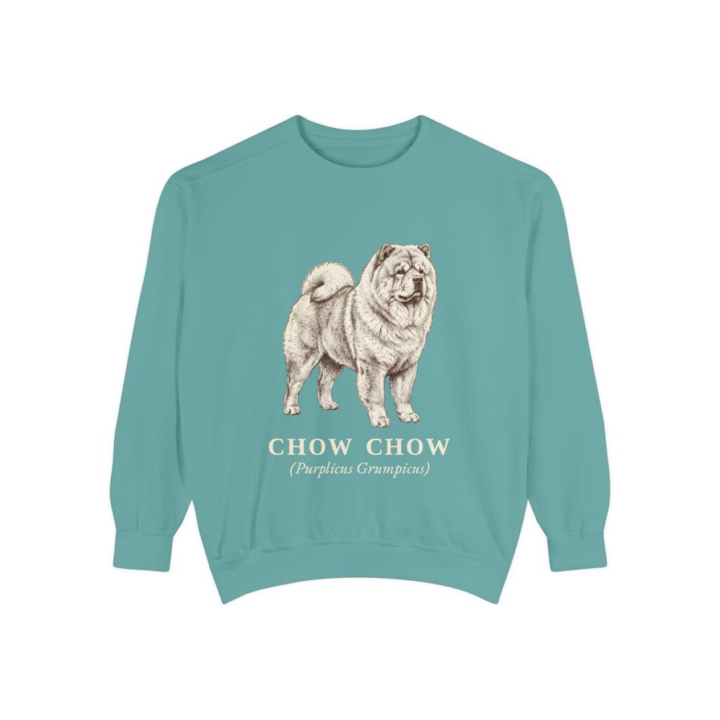 Chow Chow Latin Sweatshirt, Seafoam, front view