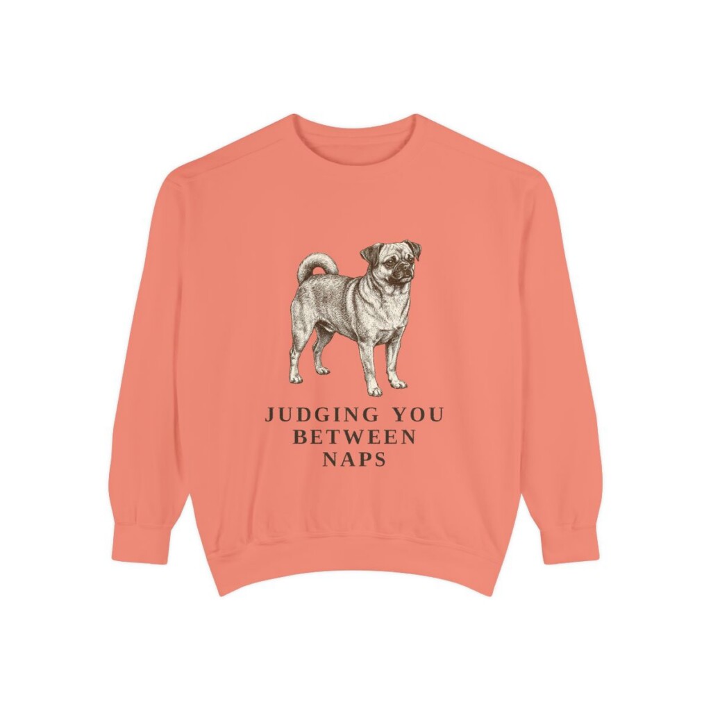 chug-sweatshirt-humor-terracotta Chug Humor Sweatshirt, Terracotta, front view