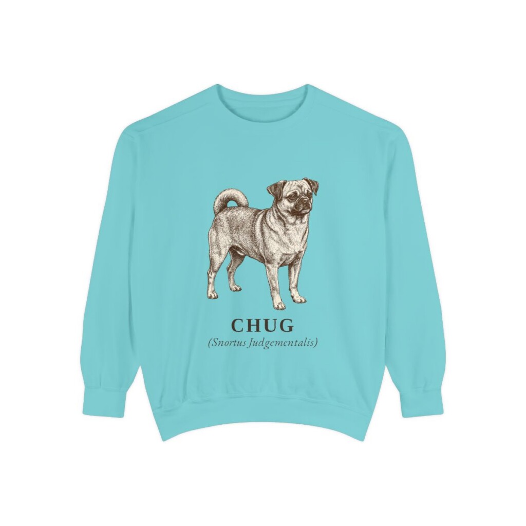 Chug Latin Sweatshirt, Chalky Mint, front view