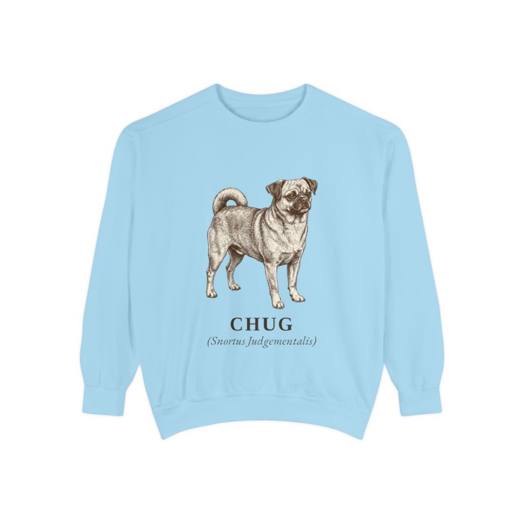 Chug Latin Sweatshirt, Chambray, front view