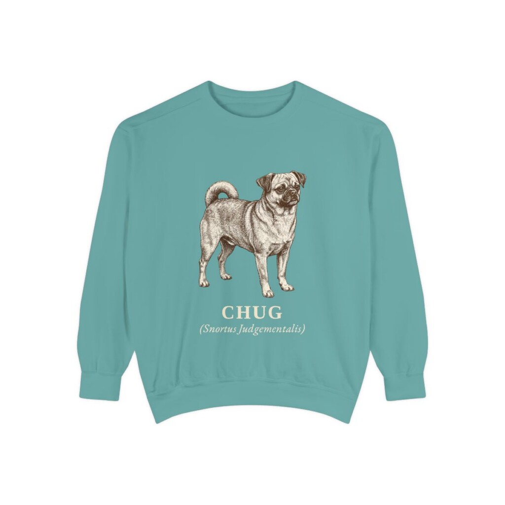 Chug Latin Sweatshirt, Seafoam, front view