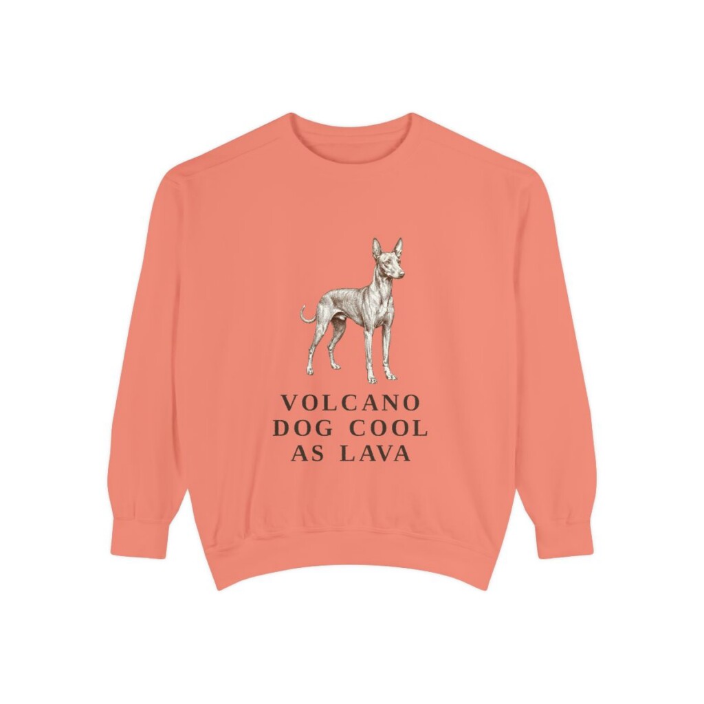 Cirneco dell'Etna Humor Sweatshirt, Terracotta, front view
