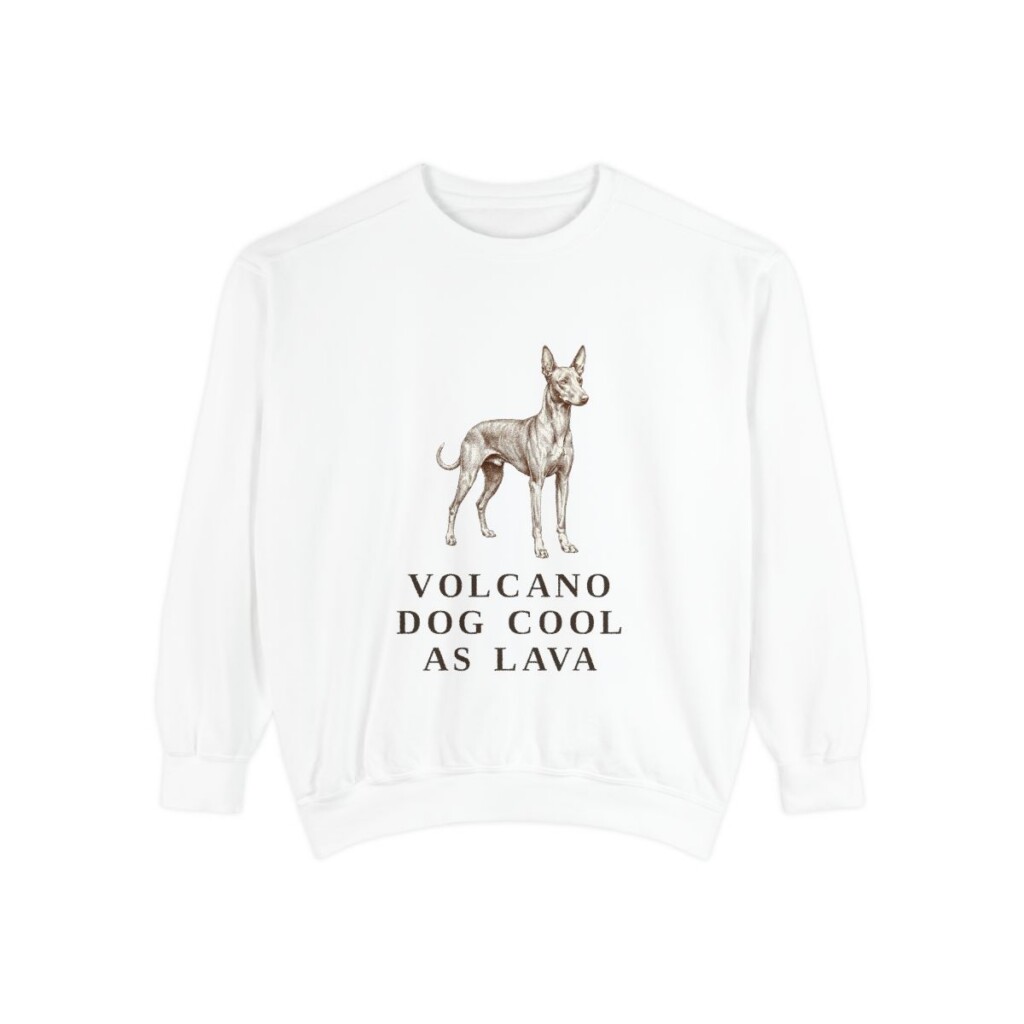 Cirneco dell'Etna Humor Sweatshirt, White, front view