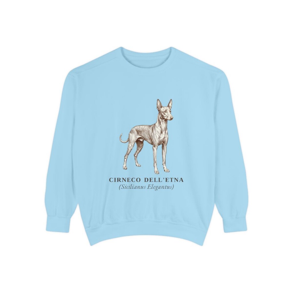 Cirneco dell'Etna Latin Sweatshirt, Chambray, front view