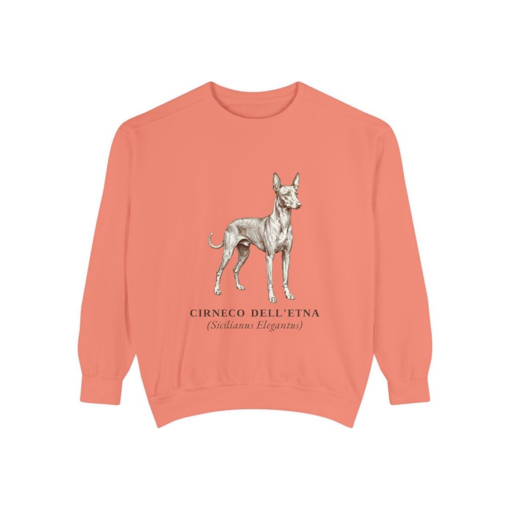 Cirneco dell'Etna Latin Sweatshirt, Terracotta, front view