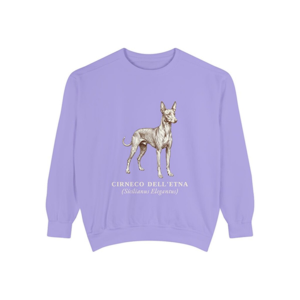 Cirneco dell'Etna Latin Sweatshirt, Violet, front view