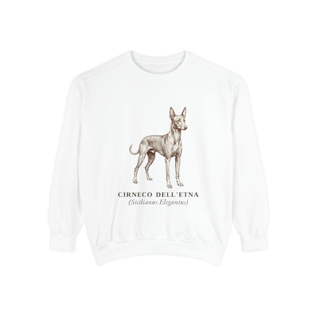 Cirneco dell'Etna Latin Sweatshirt, White, front view
