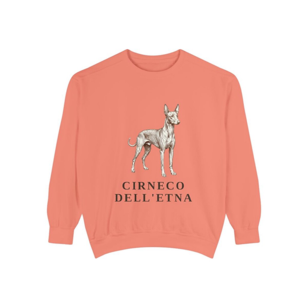 Cirneco dell'Etna Sweatshirt, Terracotta, front view