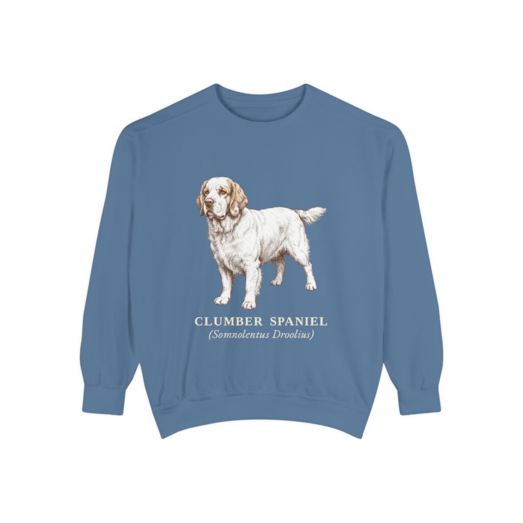 Clumber Spaniel Latin Sweatshirt, Blue Jean, front view