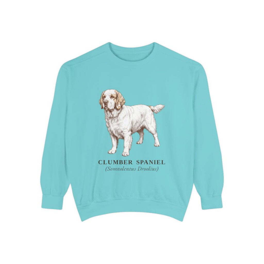 Clumber Spaniel Latin Sweatshirt, Chalky Mint, front view